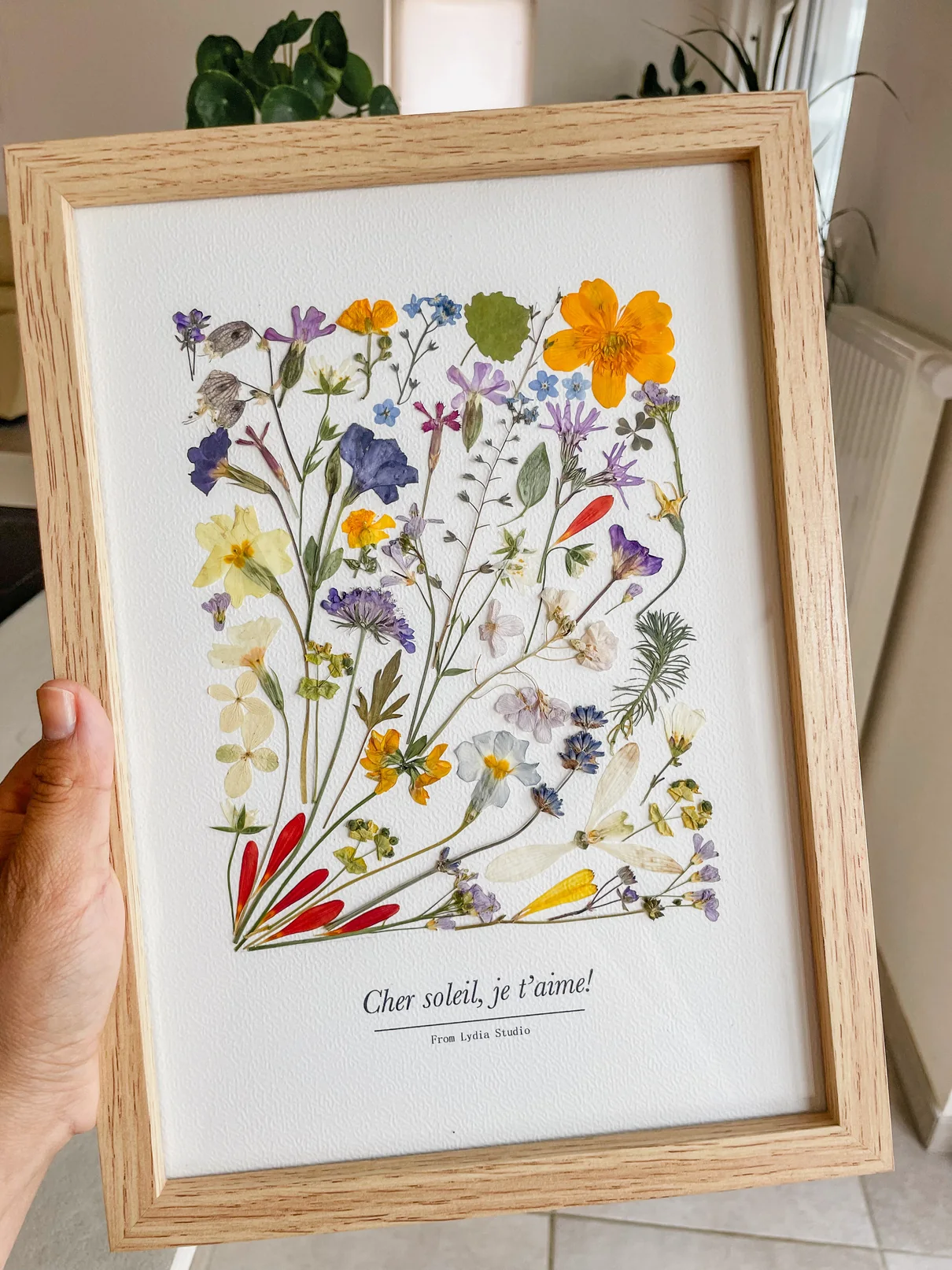 Fleurs jaunes, violettes et blanches pressées, composées dans un cadre en bois clair