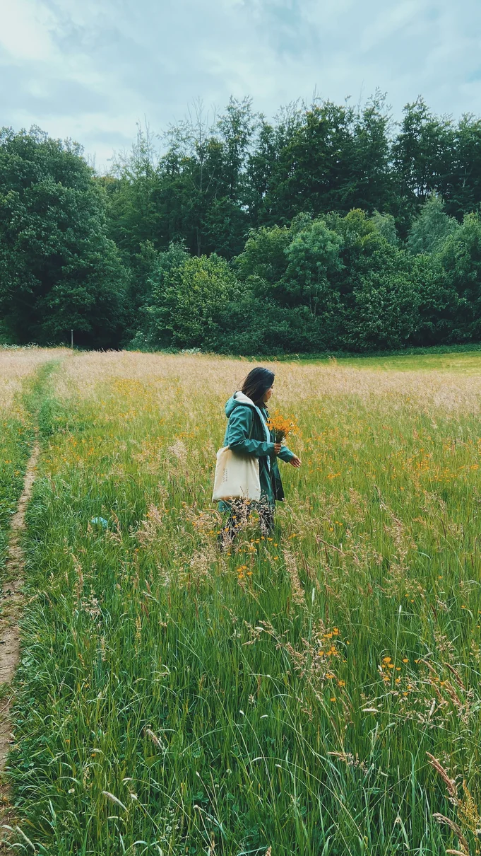 Promenade dans une prairie au bord d’une forêt belge