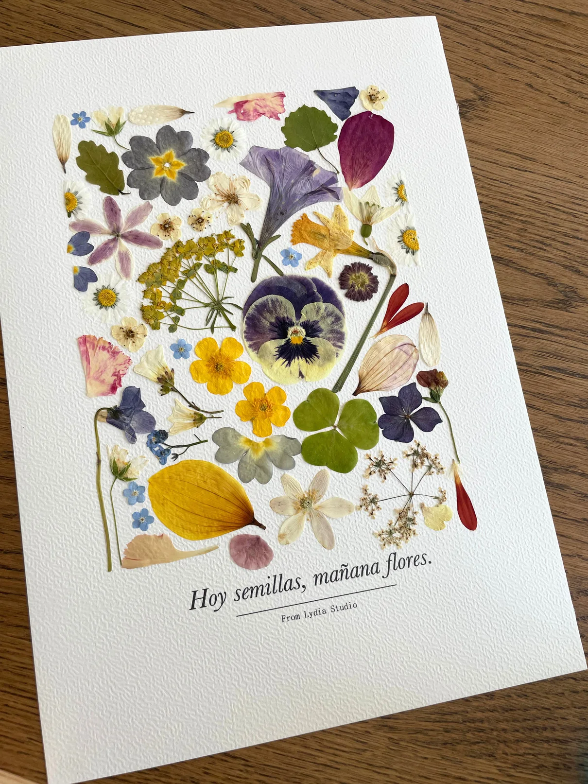 Bouquet de fleurs pressées jaunes et violettes sur papier blanc, dans un cadre en bois
