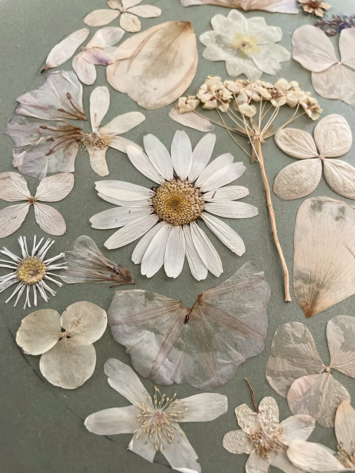 Détail de l’œuvre Jardin en silence