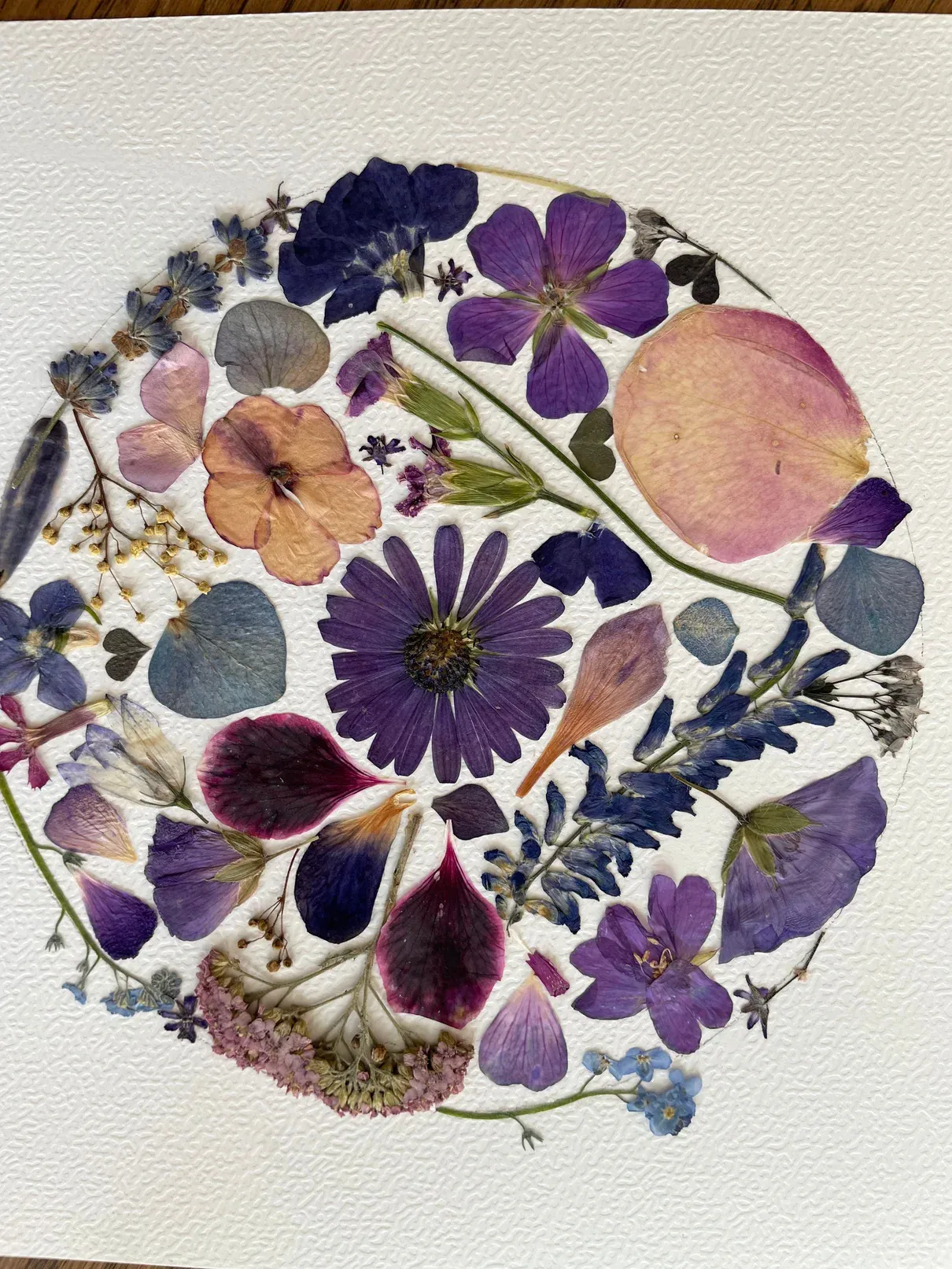 Détail de l’œuvre Poésie botanique !