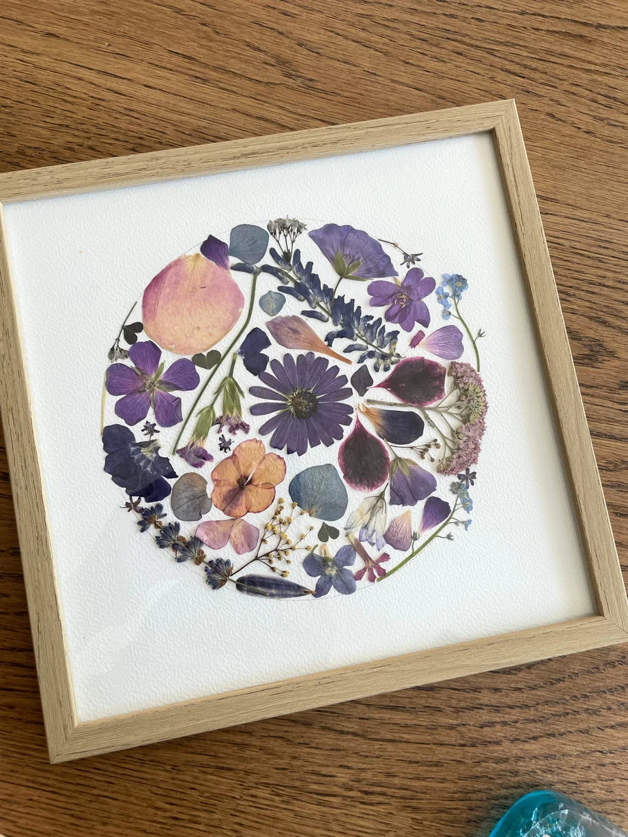 Composition circulaire de fleurs pressées violettes et roses dans un cadre carré